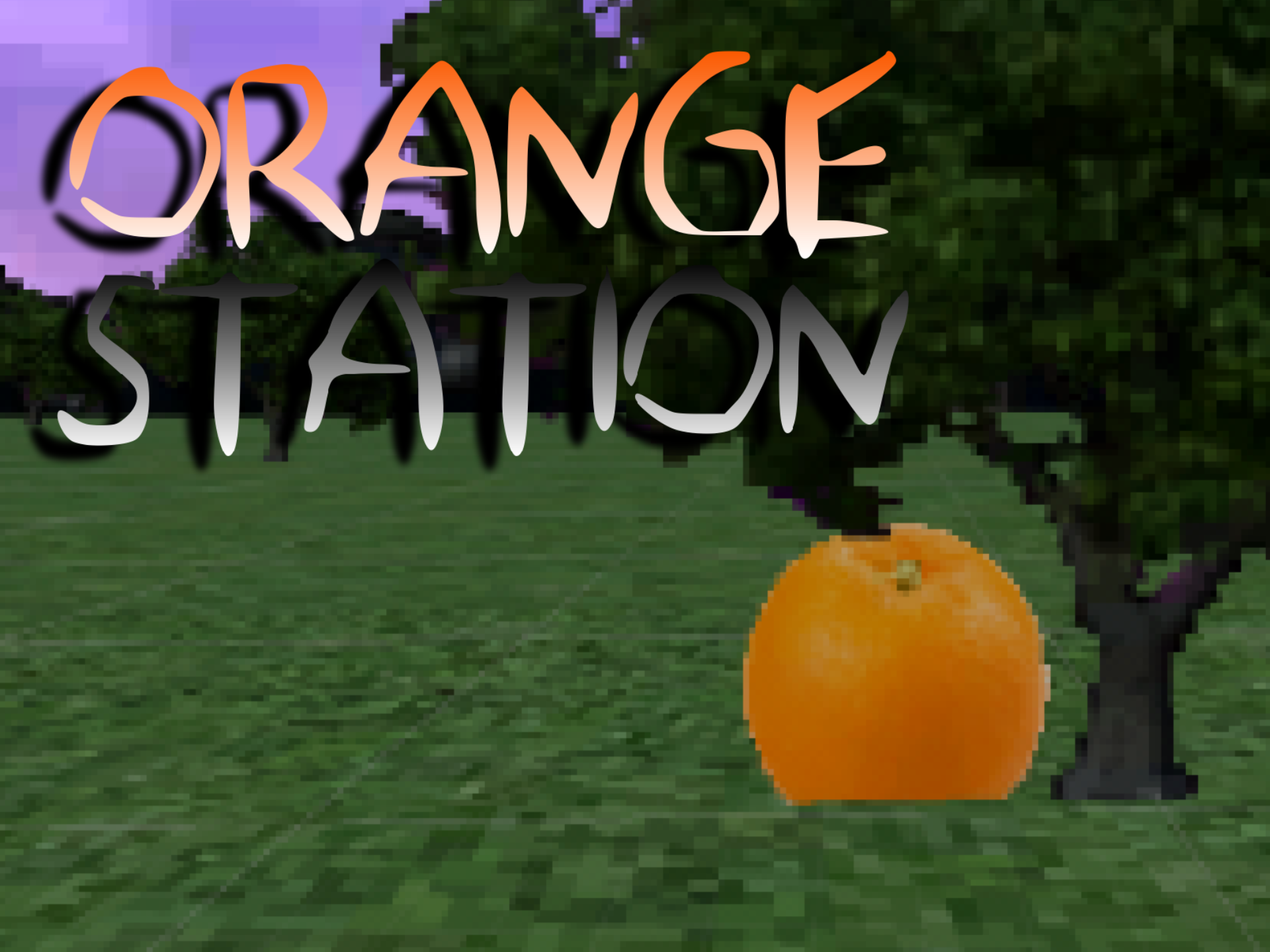 Cover image for Orange Station