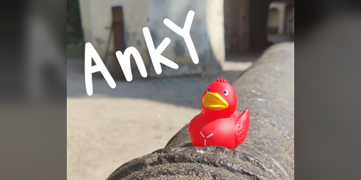 Cover image for AnkY