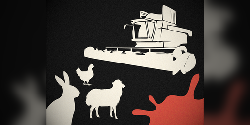 Cover image for Animal Grinder