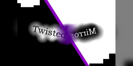 Cover image for Twisted Mirror