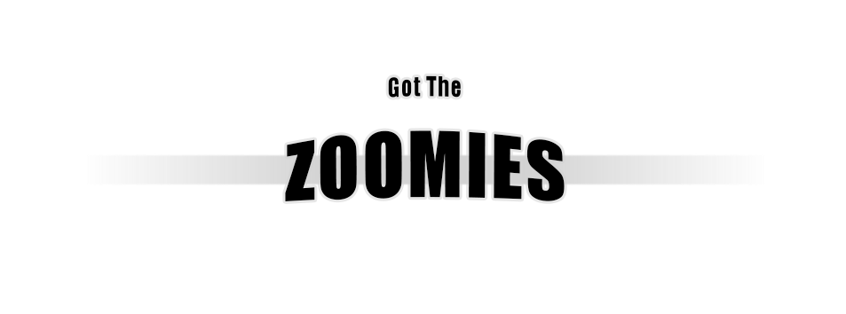 Got The Zoomies