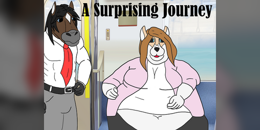 Cover image for A Surprising Journey