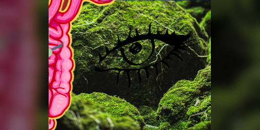Cover image for Gobe, Gobe, Gobe