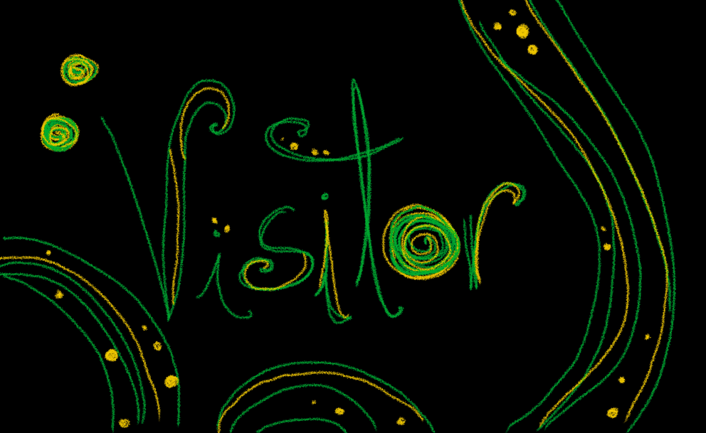 Cover image for Visitor