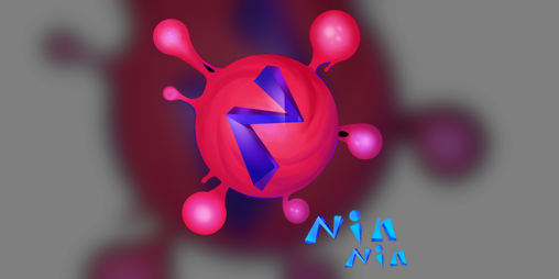 Cover image for Ninnin