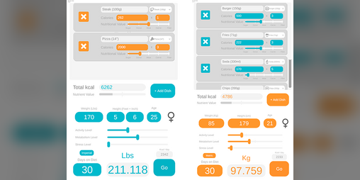 Cover image for Diet Calculator