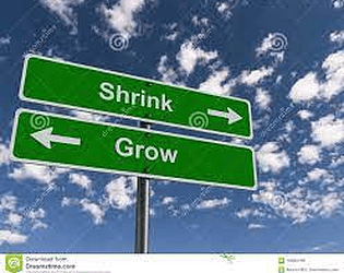 Grow Shrink App