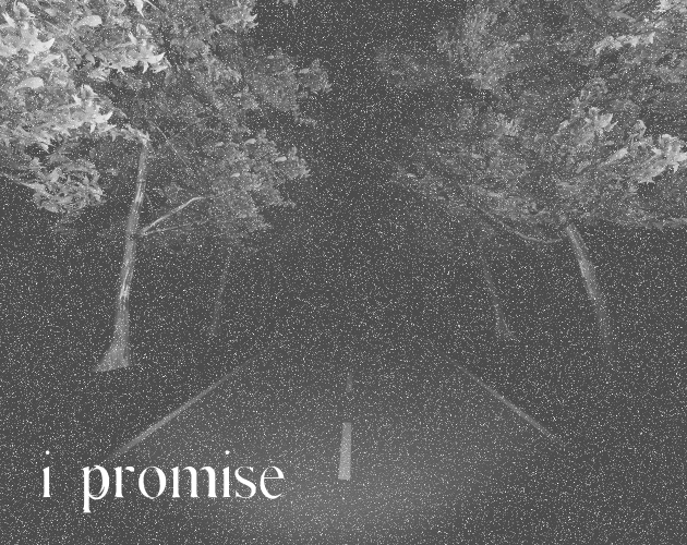 i promise promo image