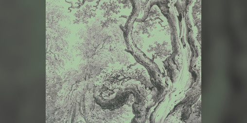Cover image for 𝕸𝖔𝖗𝖕𝖊𝖙𝖍'𝖘 𝕽𝖚𝖘𝖊