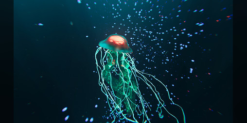 Cover image for Jellyfish Controller