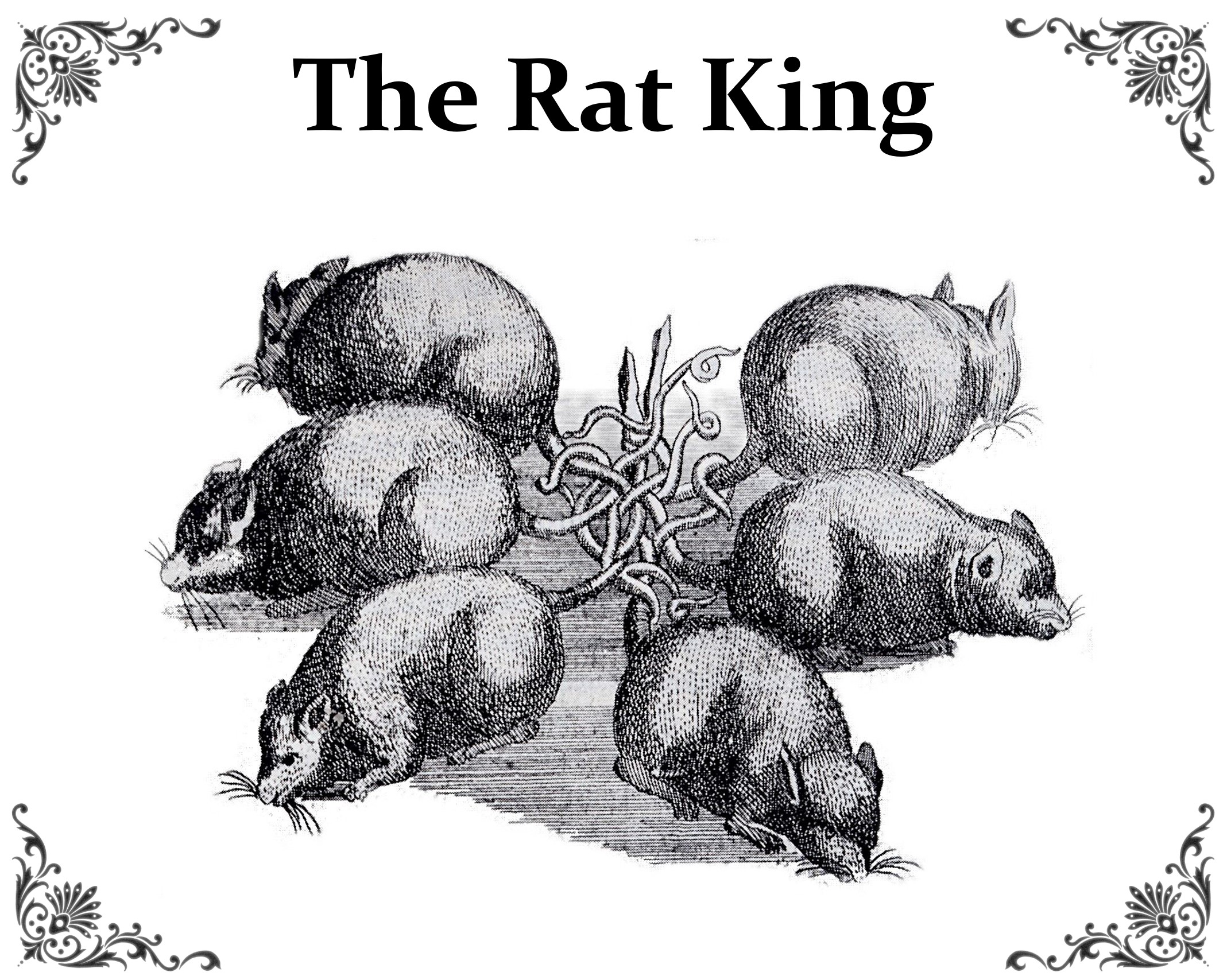 The Rat King by Rosenkavalier