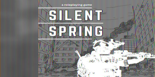 Cover image for Silent Spring