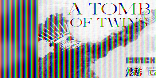 Cover image for A Tomb of Twins