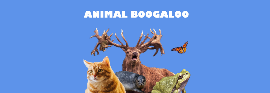 Animal Boogaloo