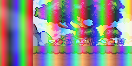 Cover image for TᕼE ᗩᗪᐯEᑎTᑌᖇE Oᖴ TᕼE ᔕTOᒪEᑎ ᖴᖇᑌIT ᔕᗩᒪᗩᗪ