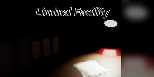 Cover image for Liminal Facility