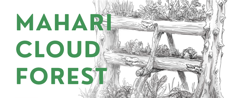 Mahari Cloud Forest TTRPG