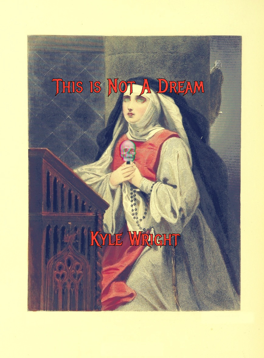 Cover image for This is Not a Dream