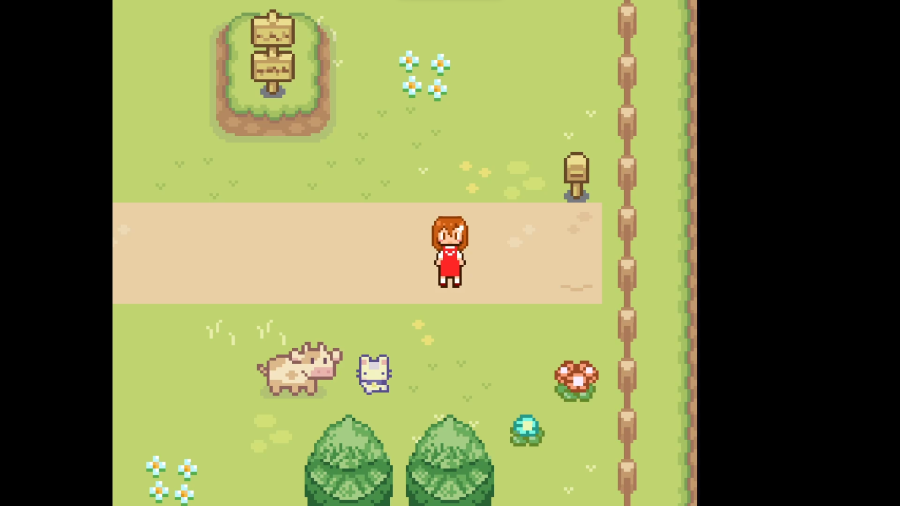 Within Dreams By Franciscomcsousa Miguelporfirio19 SaraAguincha