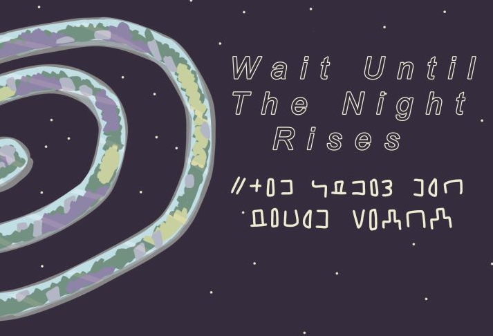 Cover image for Wait Until The Night Rises
