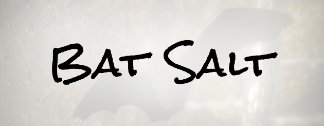 Bat Salt (game jam)