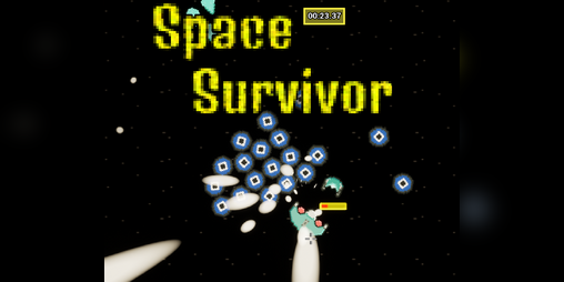 Cover image for Space Survivor