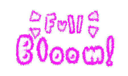 Full Bloom