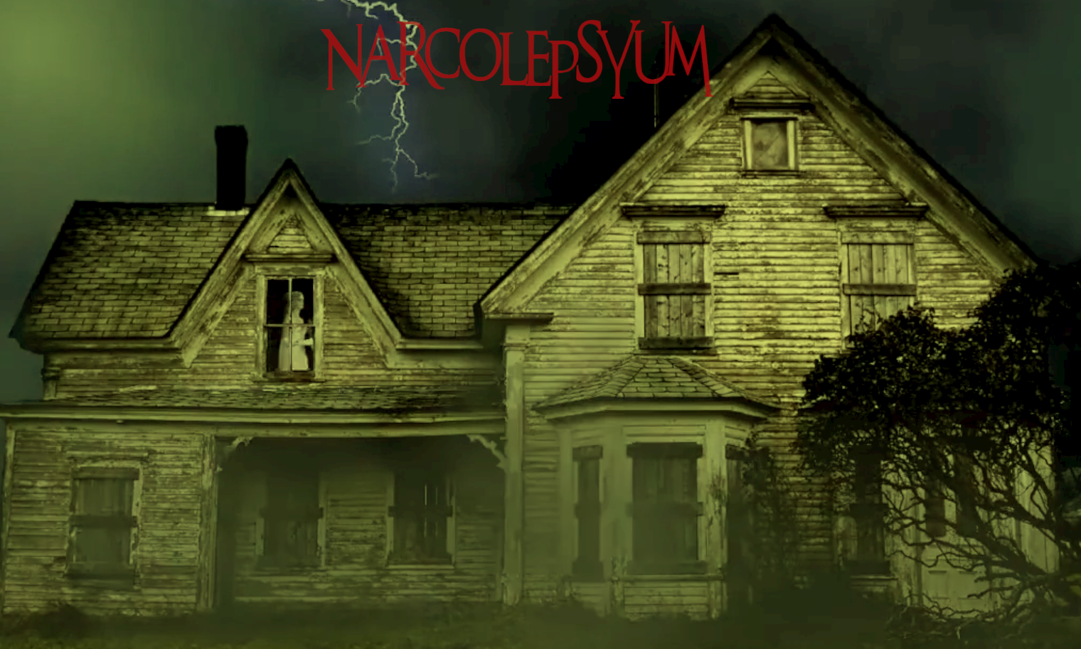 Cover image for Narcolepsyum