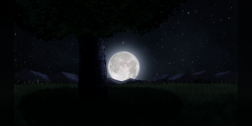 Cover image for Moonlit Field