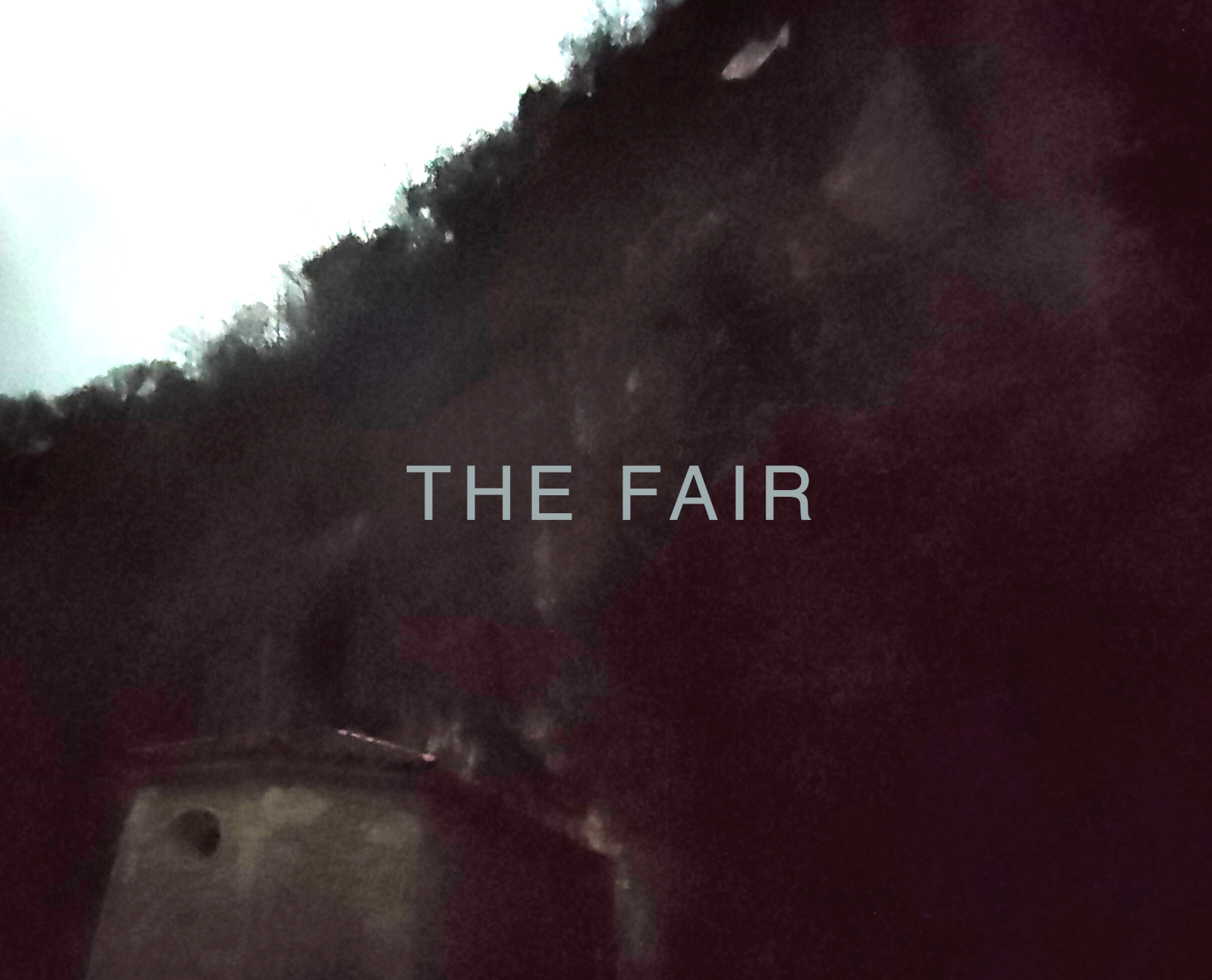 Cover image for The Fair