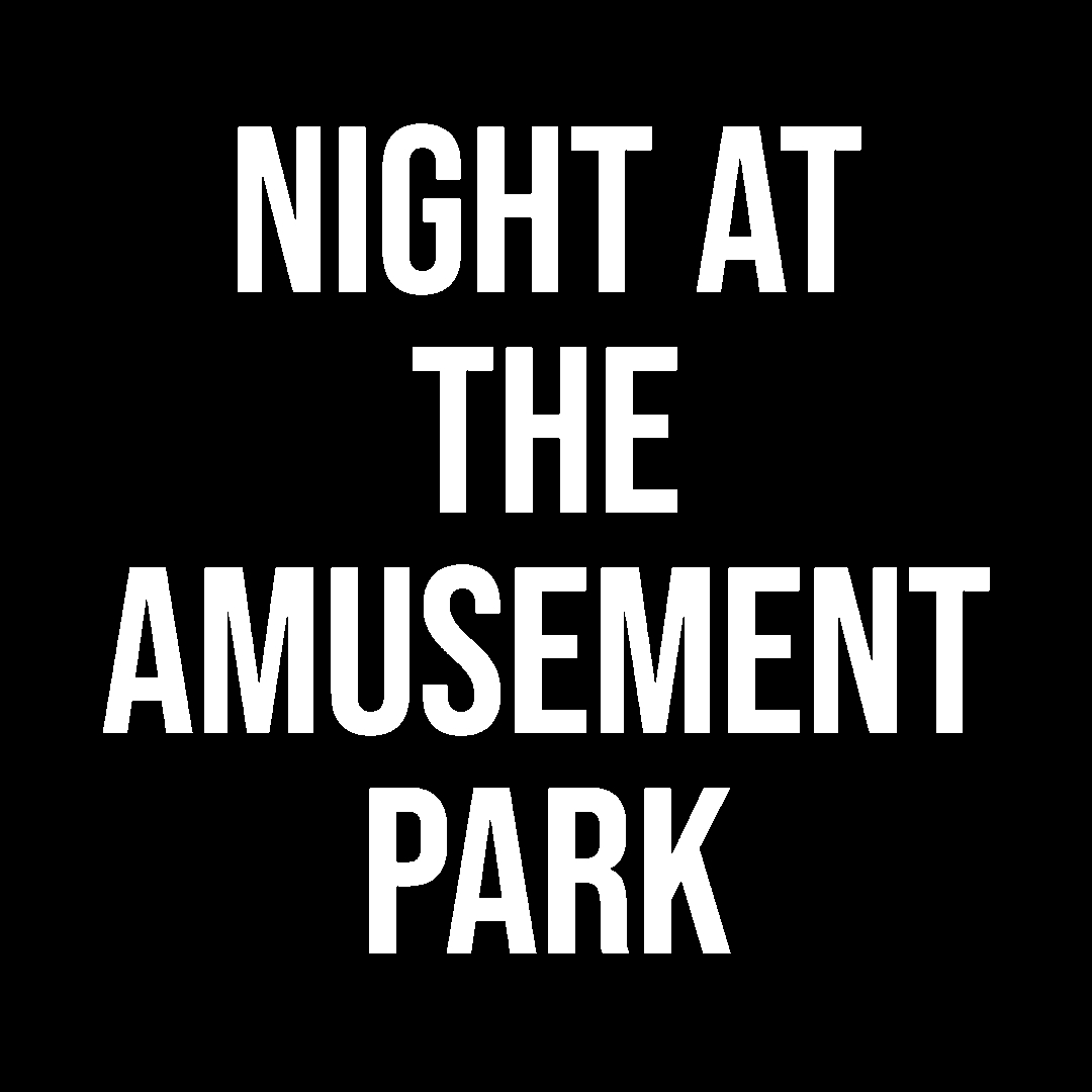 Night at the amusement park