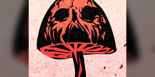Cover image for SHROOM DOOM