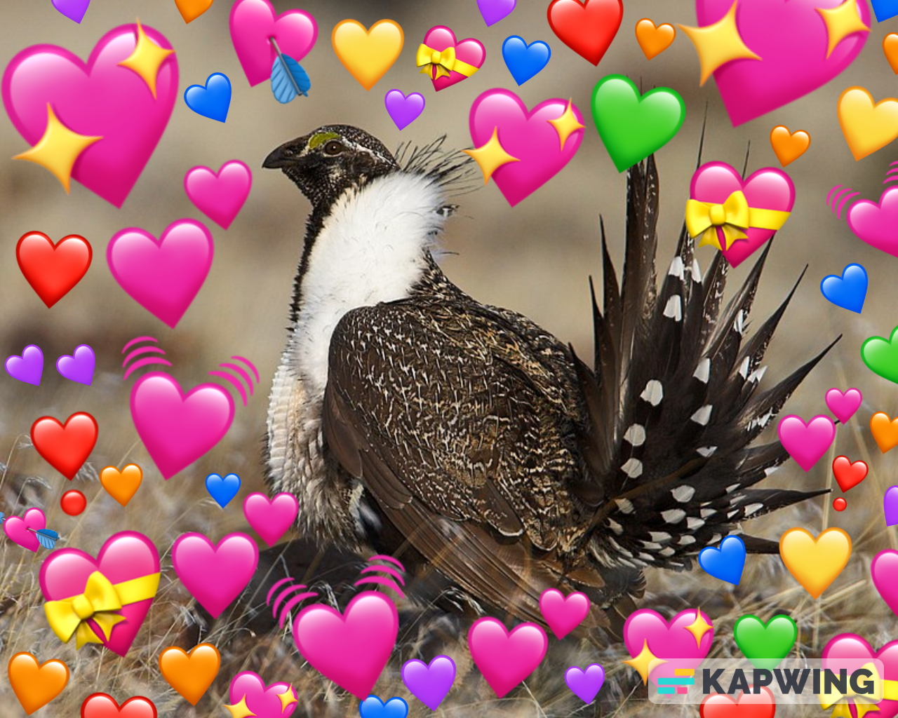Cover image for FLIRTIE BIRDIE BINGO