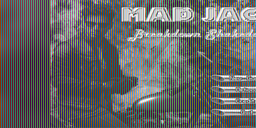 Cover image for Mad Jack: Breakdown Shakedown