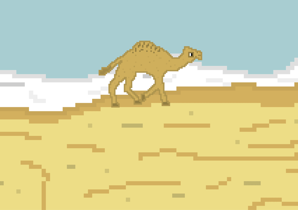 Camel Travels / The Game