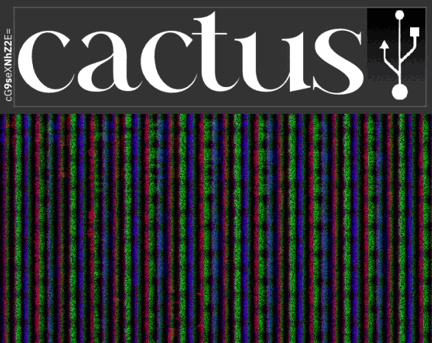 Cover image for Cactus (Prototype)