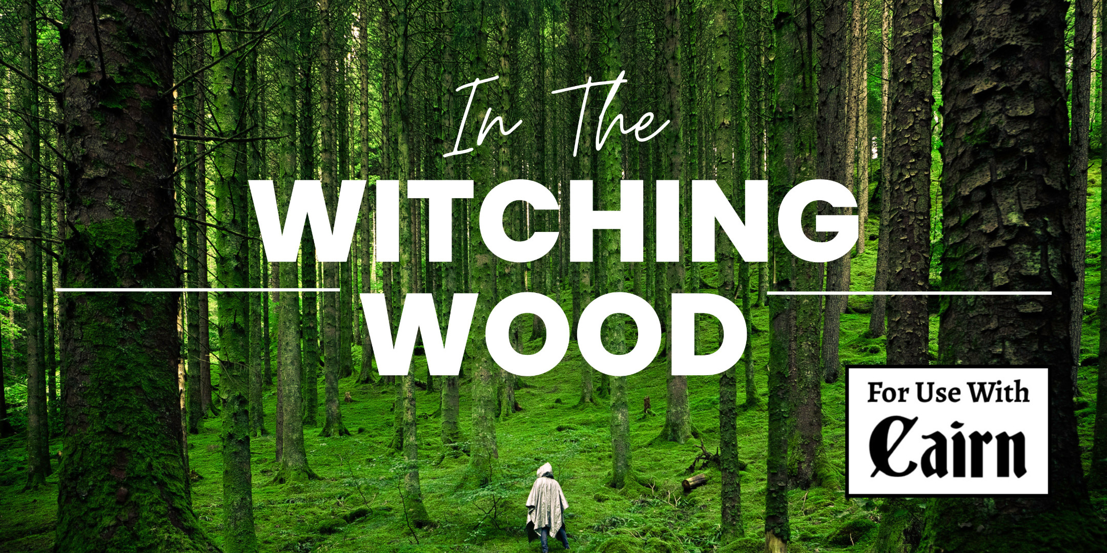 In The Witching Wood | Adventure for Cairn RPG