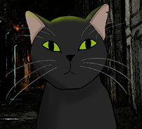 My Ex's Cat