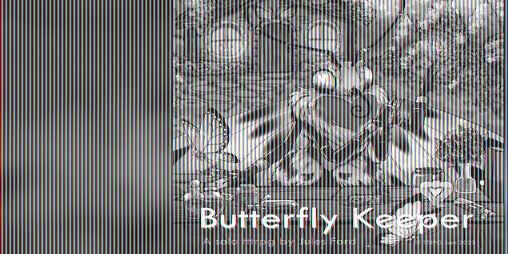 Cover image for Butterfly Keeper