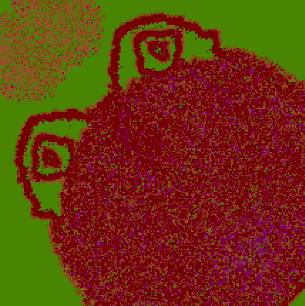 fp_random_genetics by Fauna Polaris