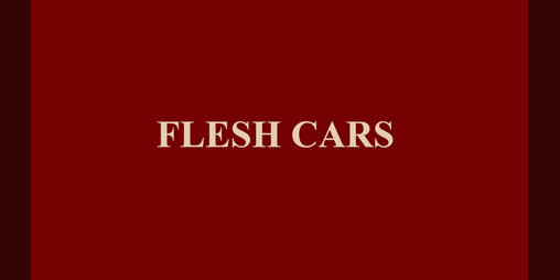 Cover image for Flesh Cars
