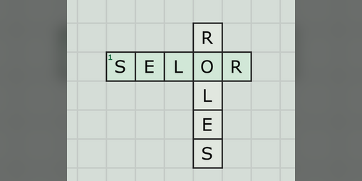 Cover image for SELOR: Reversed ROLES
