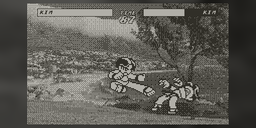 Cover image for Untitled Fighting Game