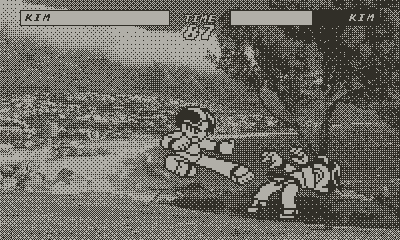 Untitled Fighting Game