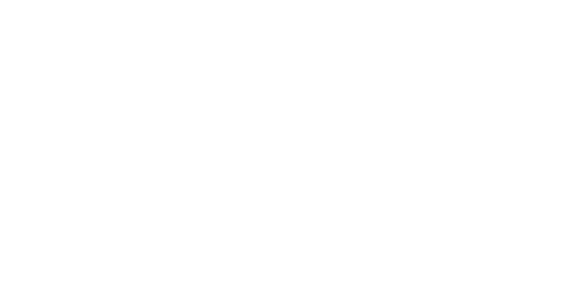 Bulley - The Bullet