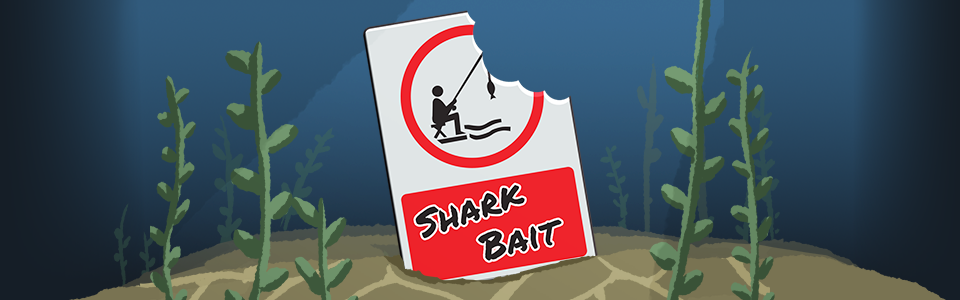 Shark Bait