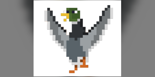 Cover image for Hunt Duck
