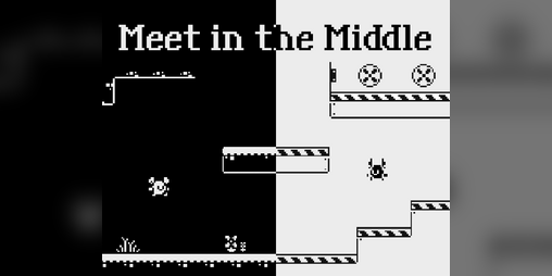 Cover image for Meet in the Middle