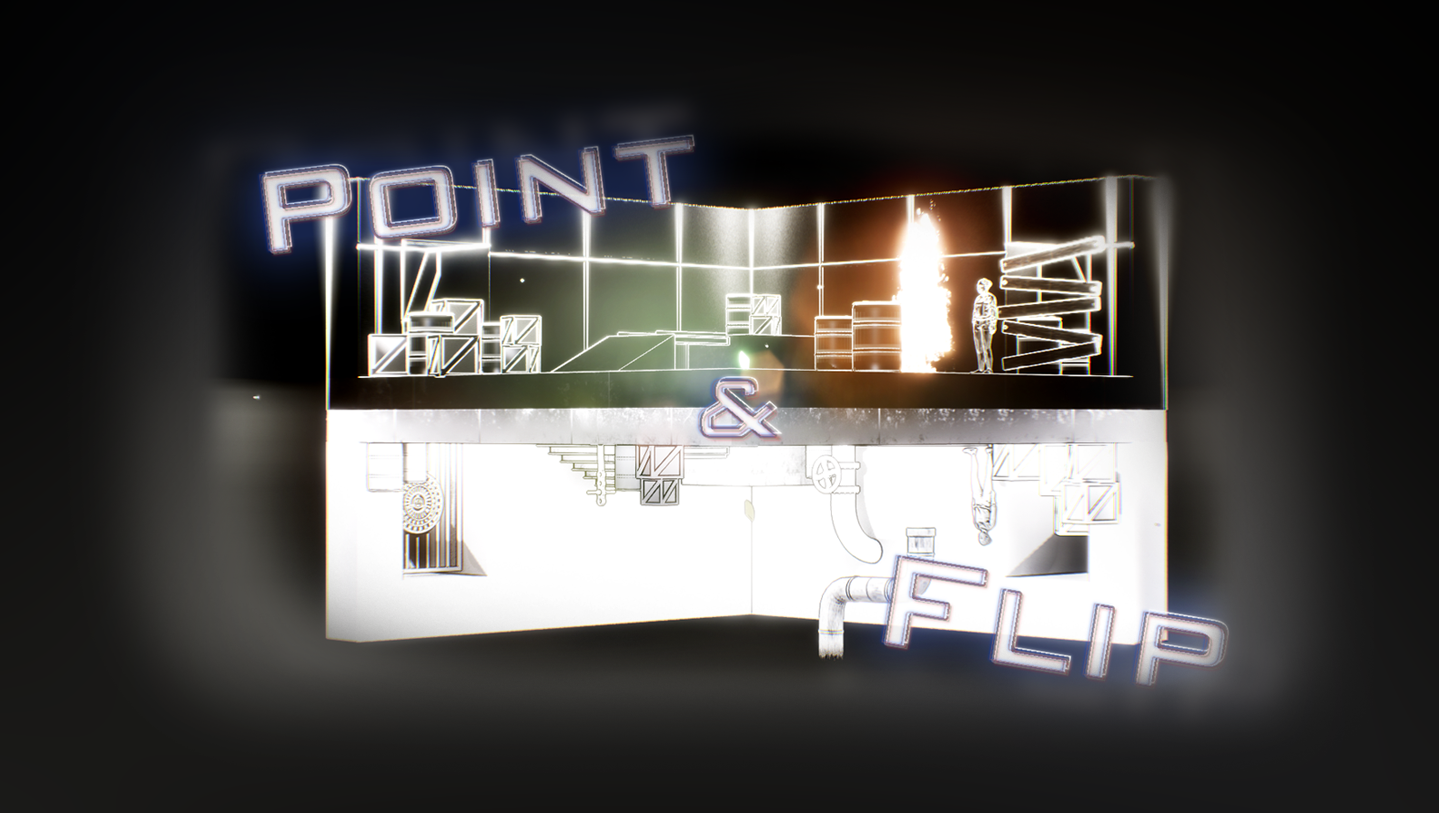 Cover image for Point and Flip