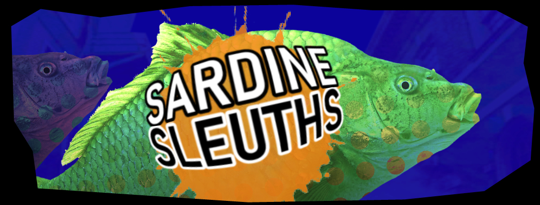 Sardine Sleuths